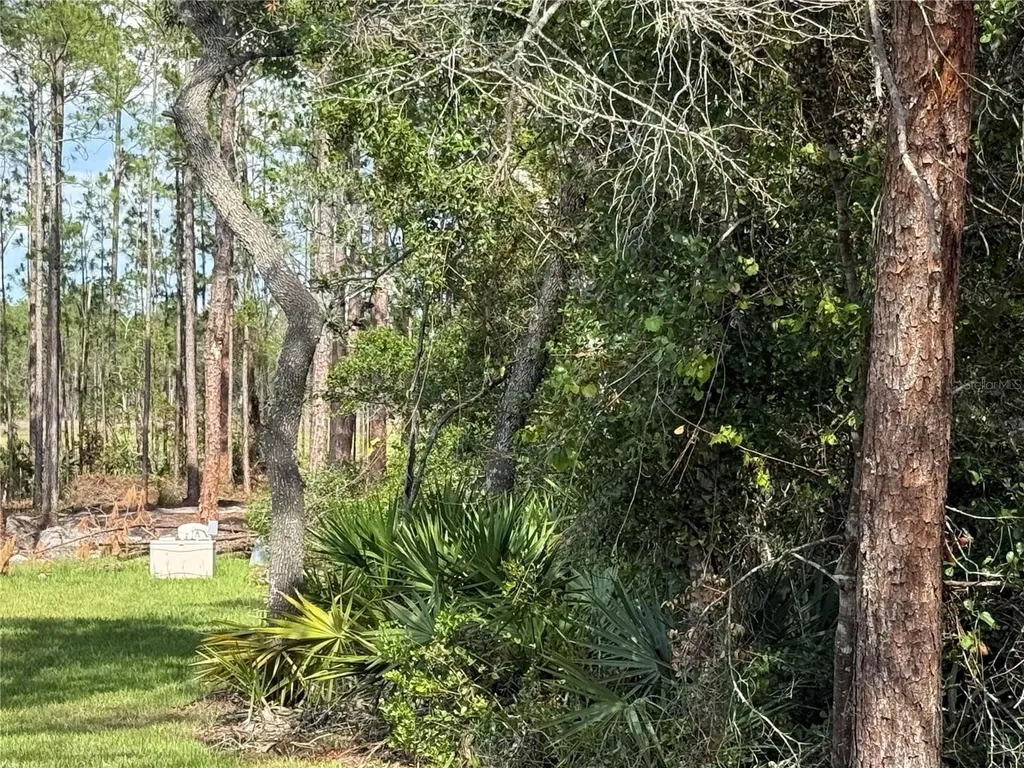 Aspen Street Eustis FL 32736