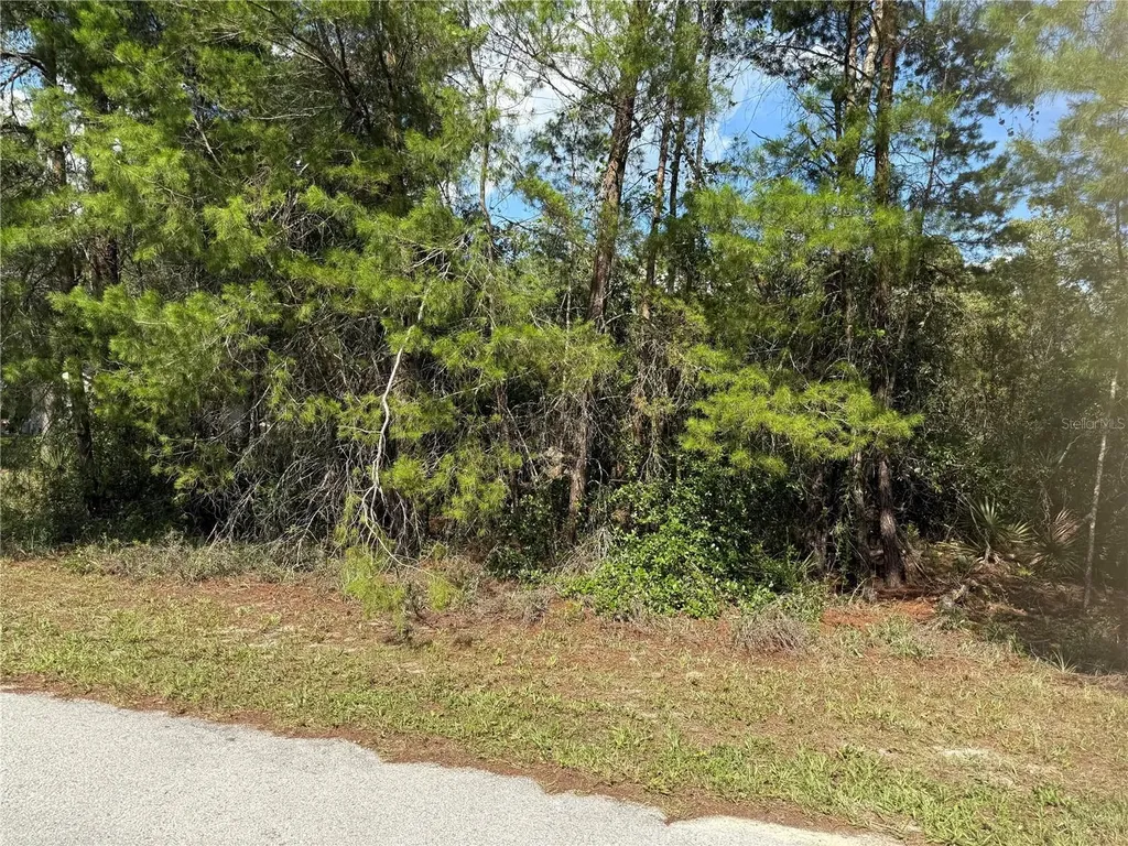 Aspen Street Eustis FL 32736