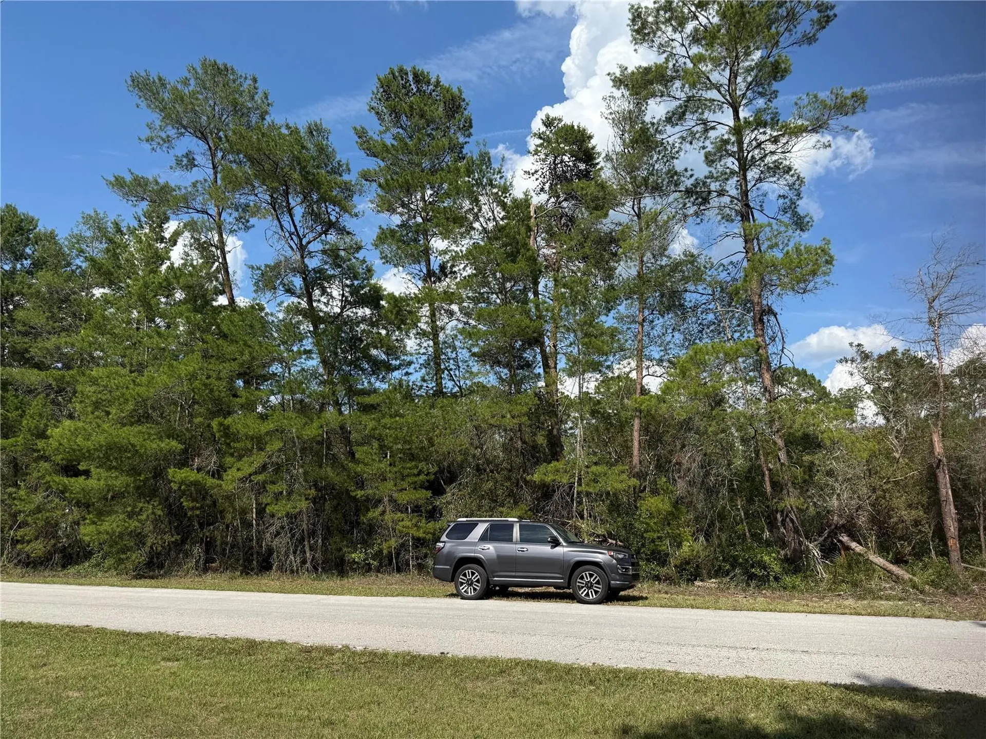 Aspen Street Eustis FL 32736