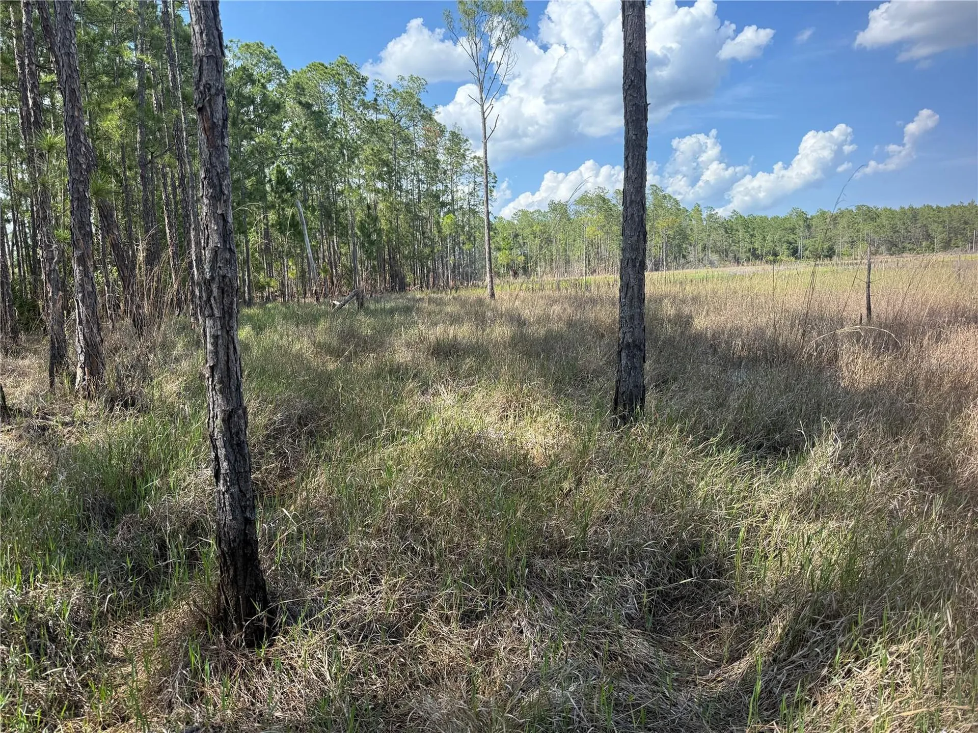 Aspen Street Eustis FL 32736