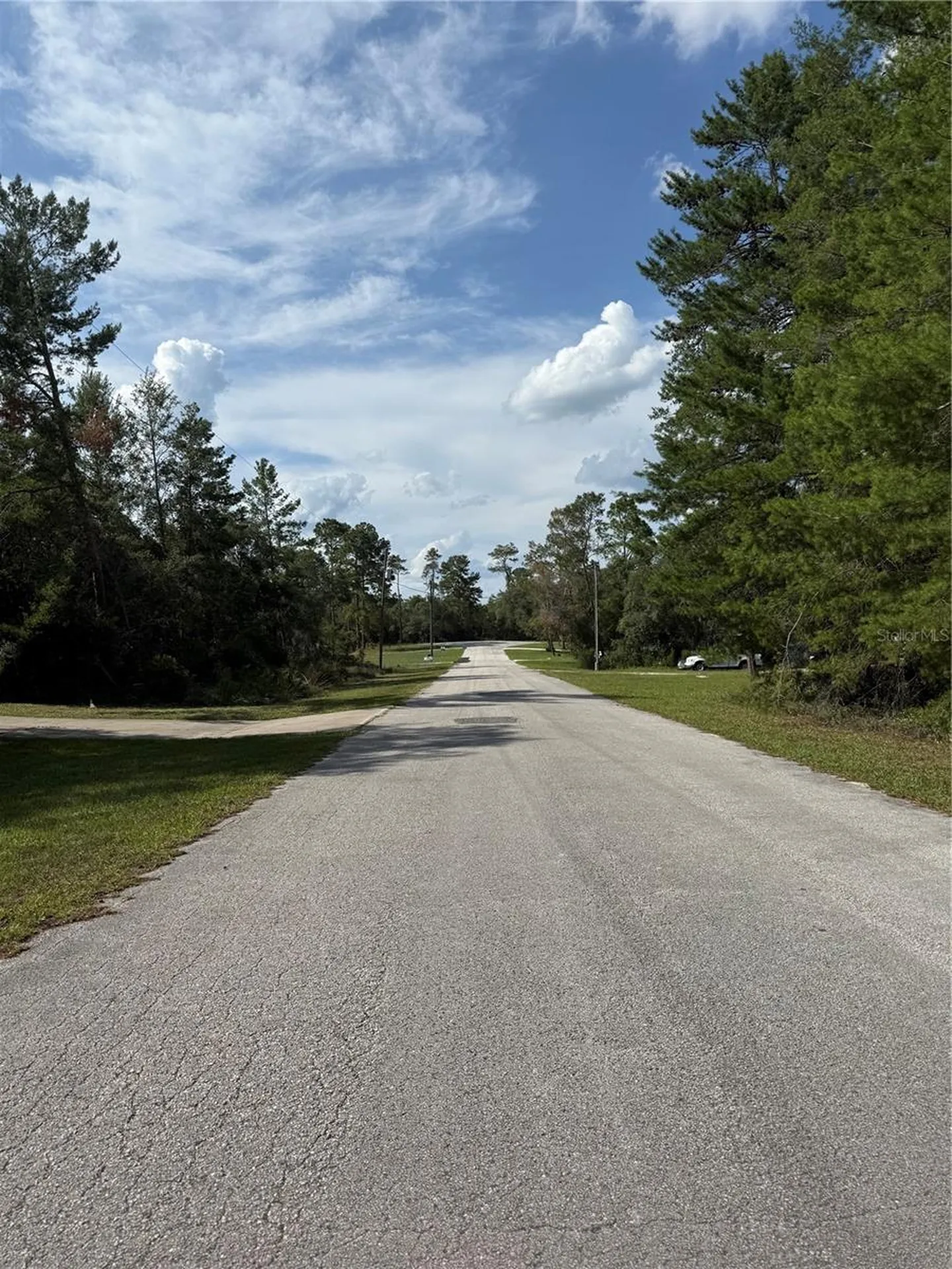 Aspen Street Eustis FL 32736