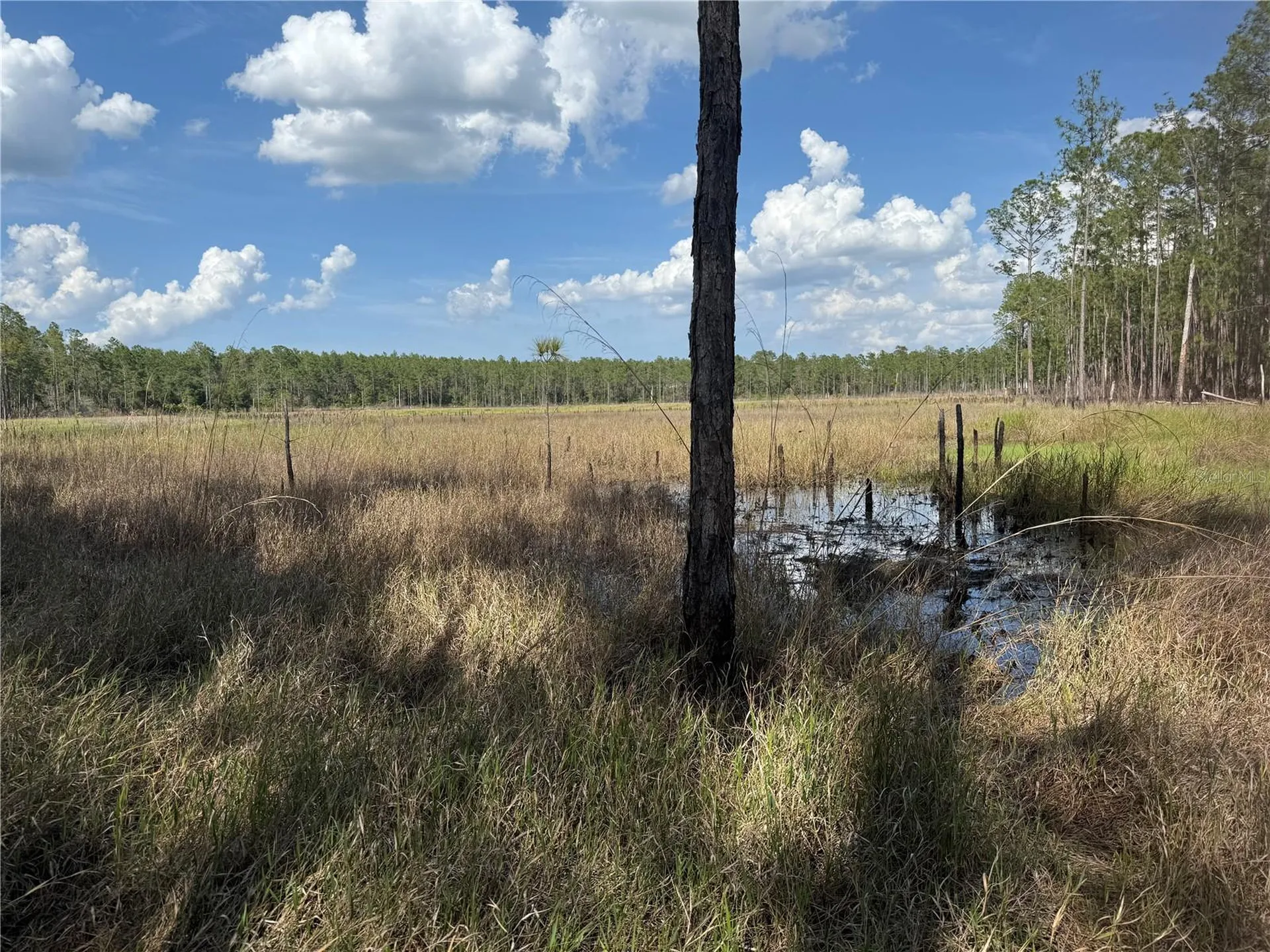 Aspen Street Eustis FL 32736