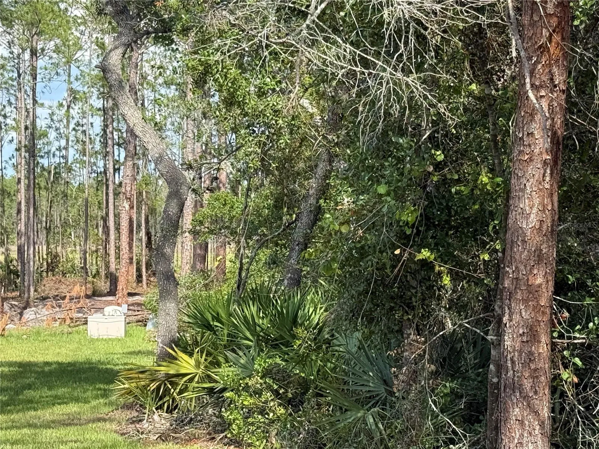 Aspen Street Eustis FL 32736