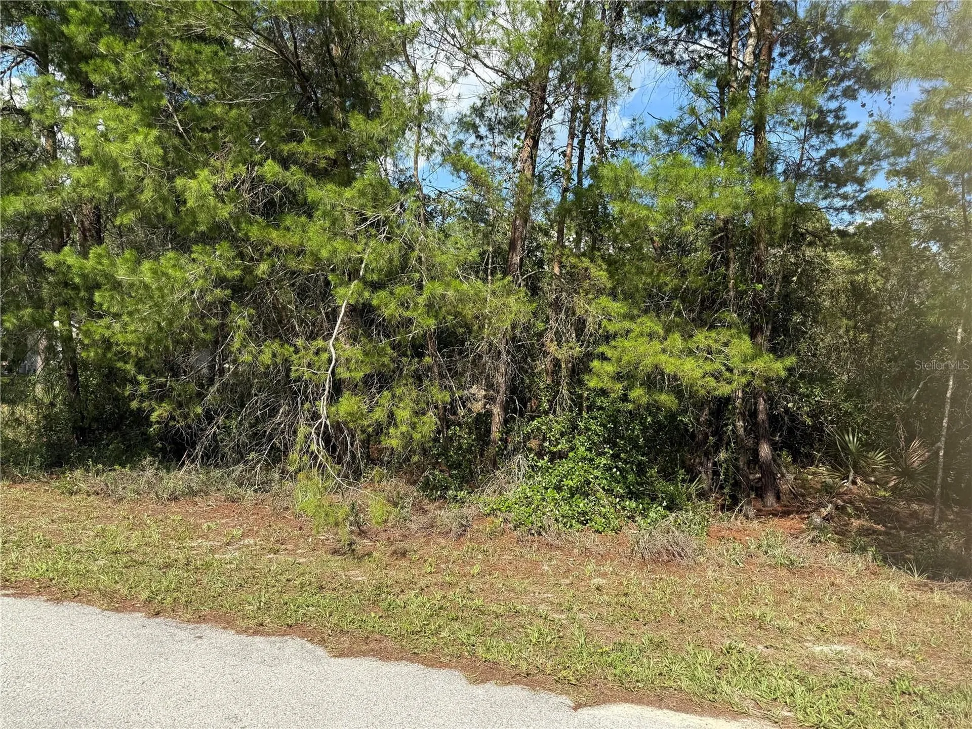 Aspen Street Eustis FL 32736