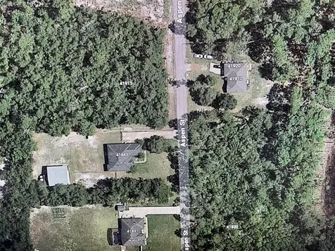 Aspen Street Eustis FL 32736