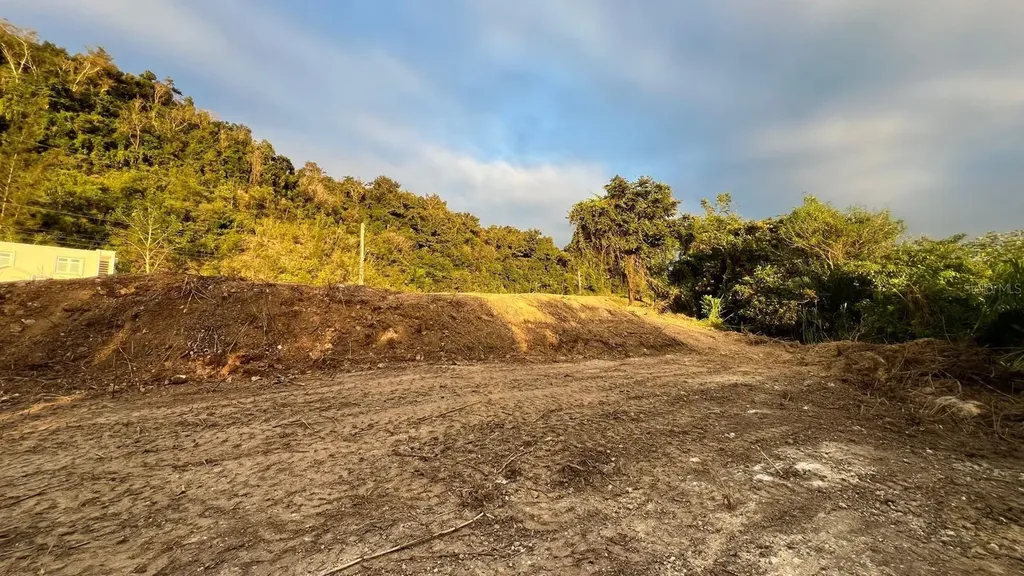 Solar 21 Bo. Rio Arriba Manati PR 00674