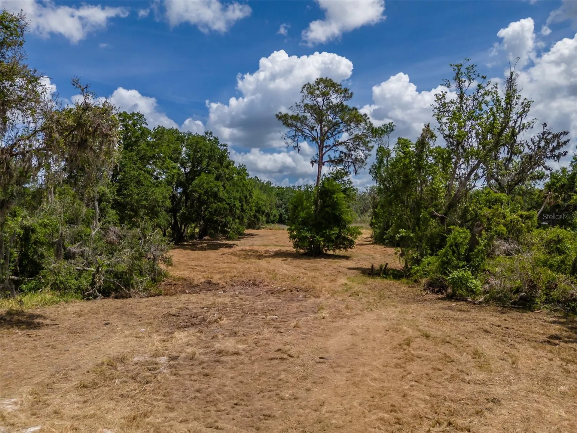 5106 Bell Shoals Road Valrico FL 33596