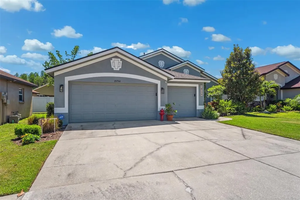 19750 Ellendale Drive Land O Lakes FL 34638