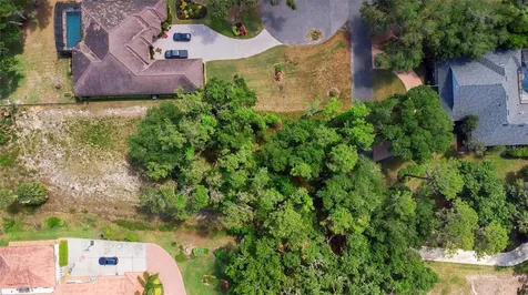 713 Newell Hill Road Leesburg FL 34748