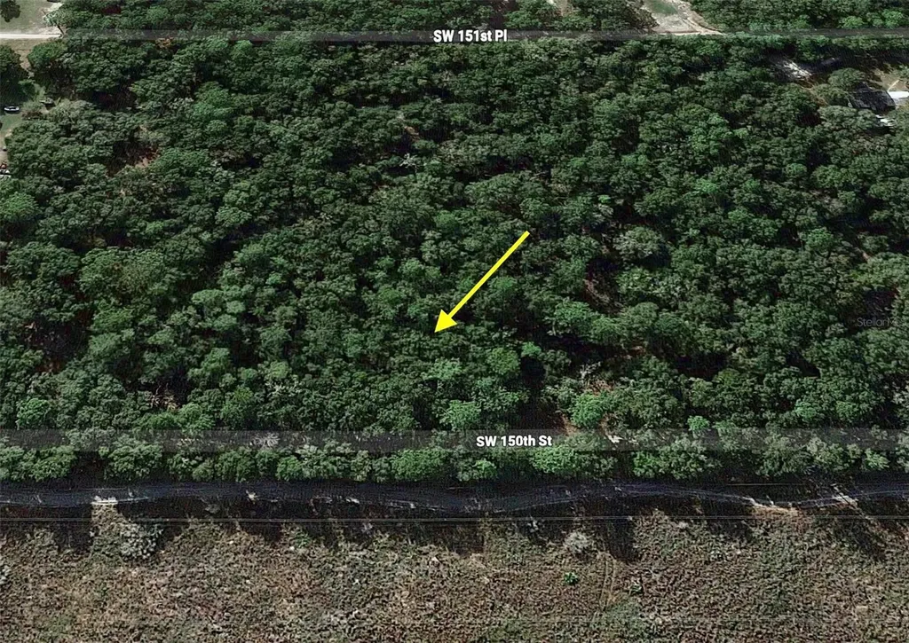 Tract 29 SW 150th Street Dunnellon FL 34432