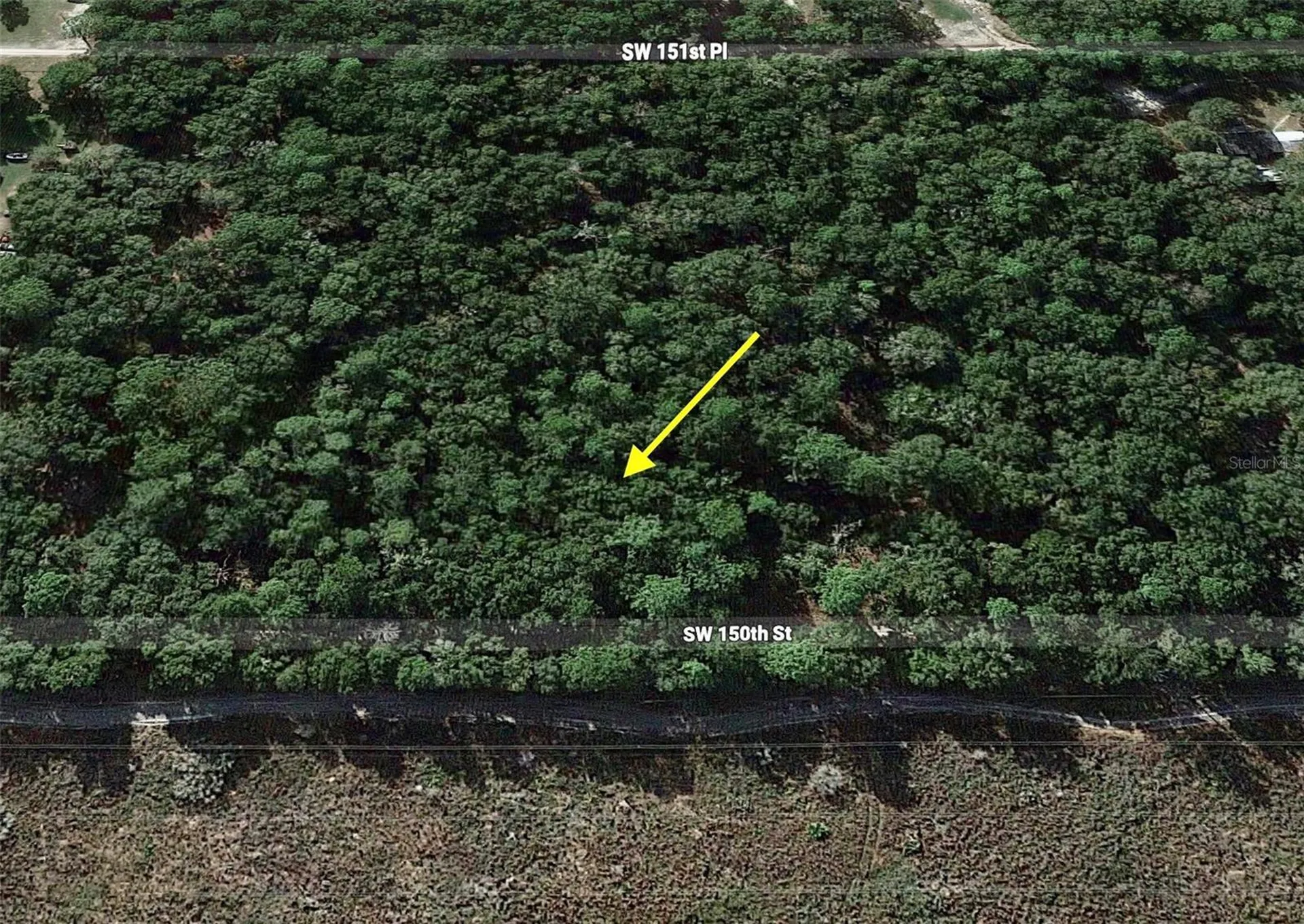 Tract 29 SW 150th Street Dunnellon FL 34432