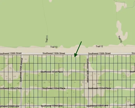 Tract 29 SW 150th Street Dunnellon FL 34432
