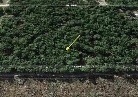 Tract 29 SW 150th Street Dunnellon FL 34432