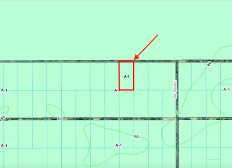 Tract 29 SW 150th Street Dunnellon FL 34432