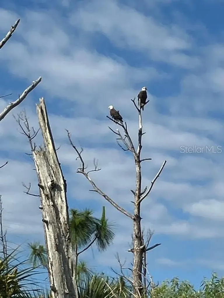 13217 Scrub Jay Court Port Charlotte FL 33953