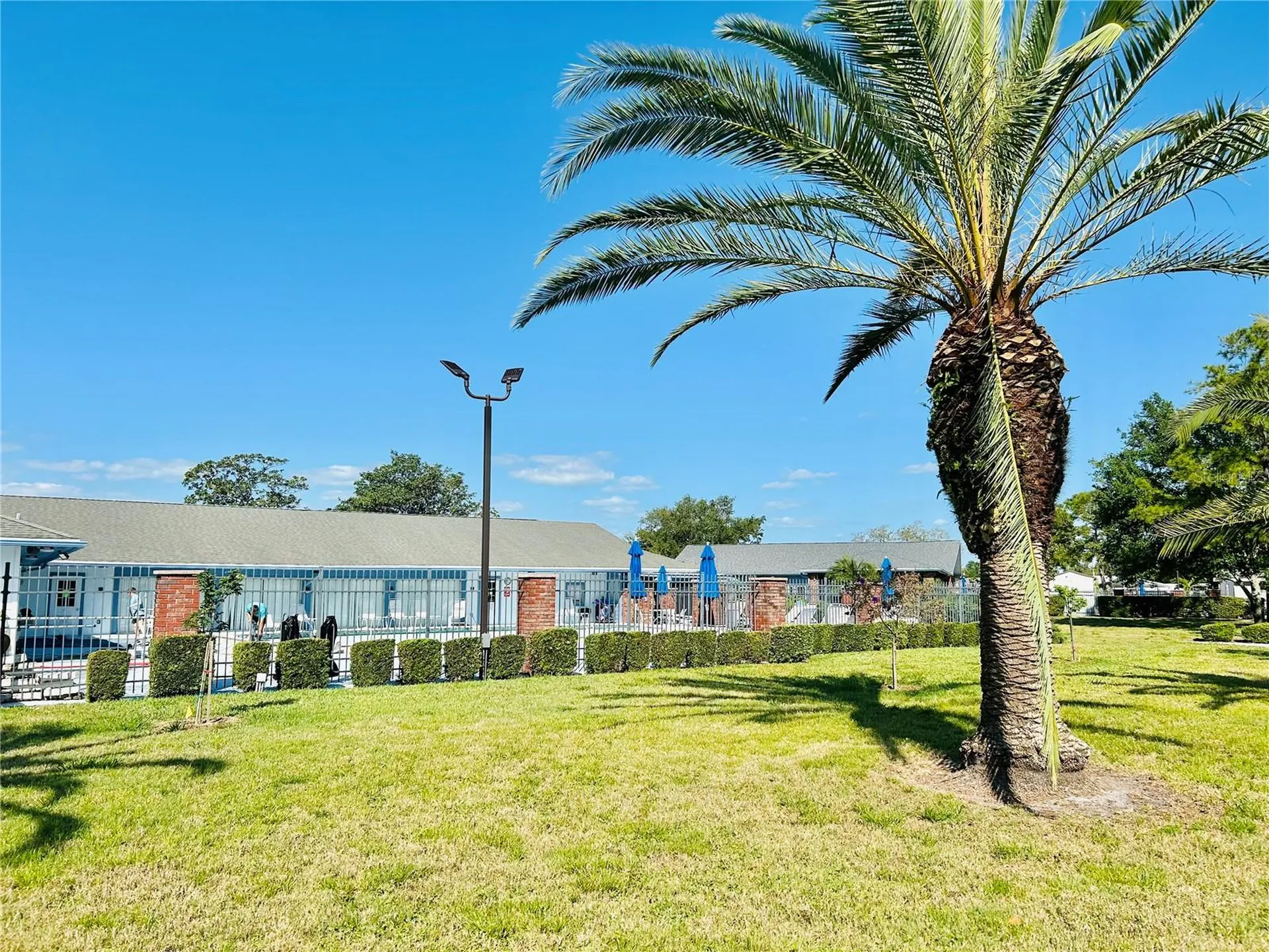 9790 66th Street N Pinellas Park FL 33782