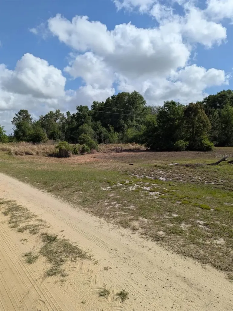 3465 W Ansonia Road Avon Park FL 33825