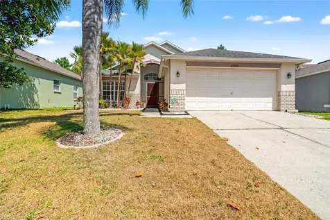 25006 Hyde Park Boulevard Land O Lakes FL 34639