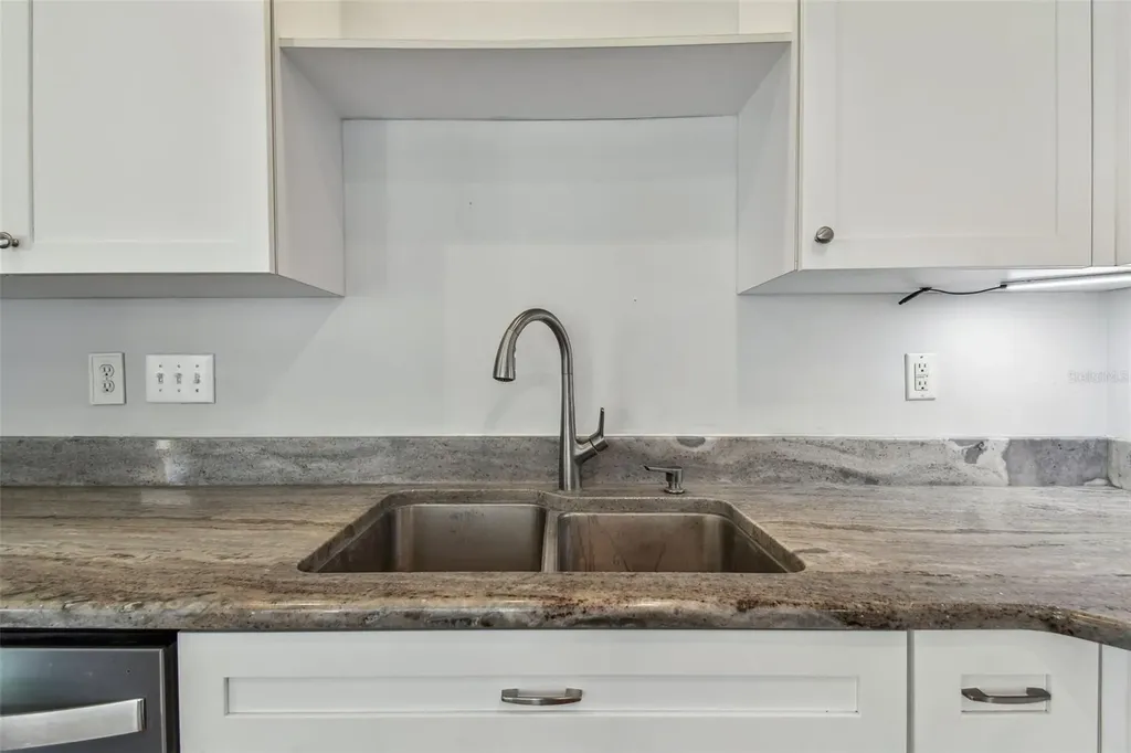 24231 Satinwood Court Lutz FL 33559