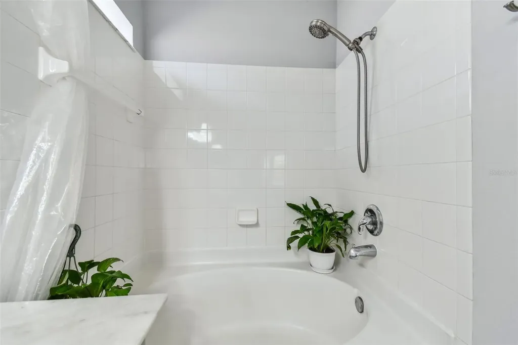 24231 Satinwood Court Lutz FL 33559