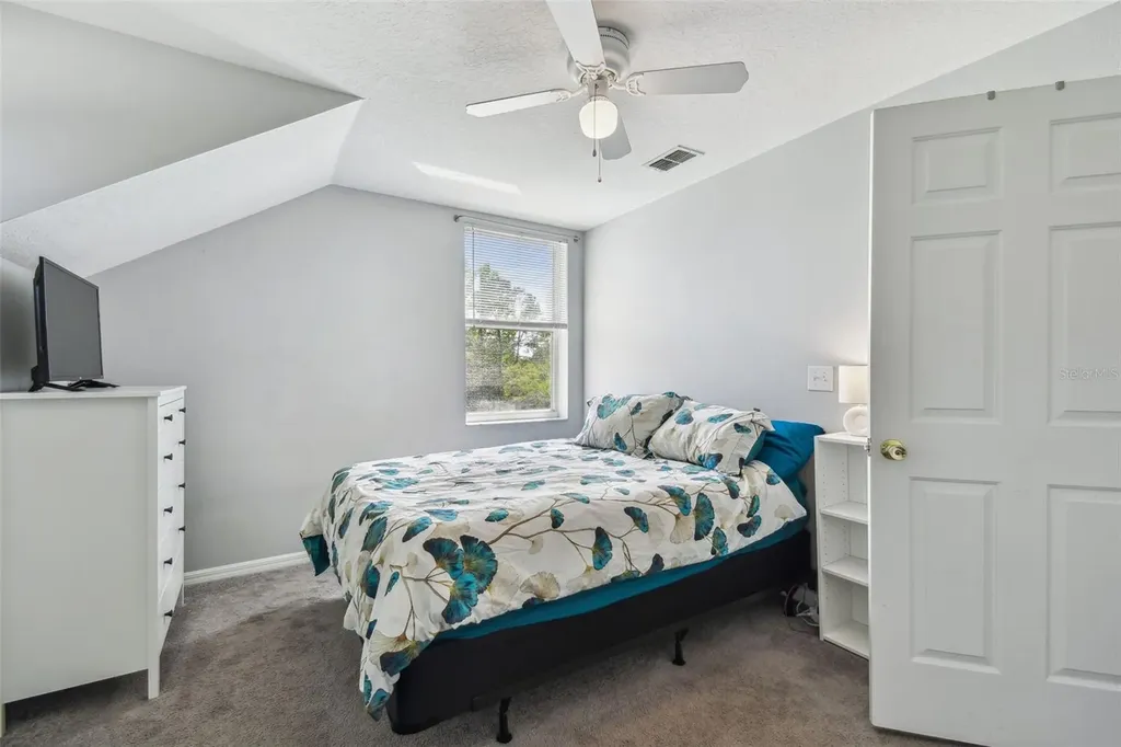 24231 Satinwood Court Lutz FL 33559