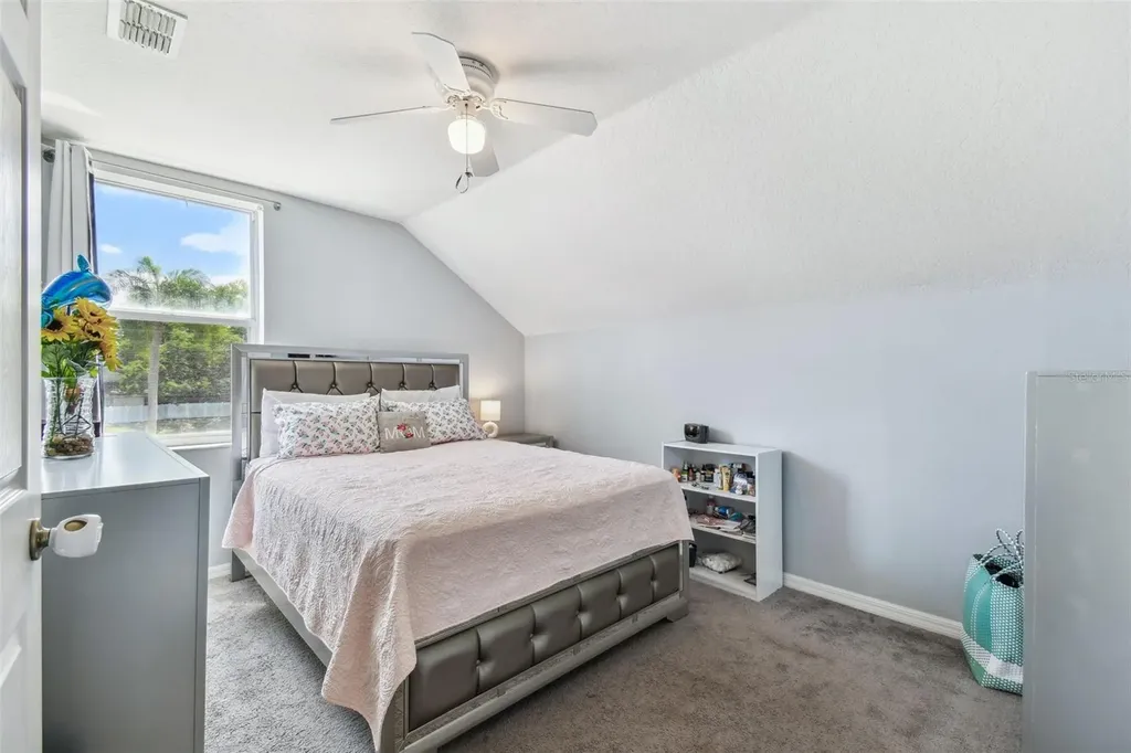 24231 Satinwood Court Lutz FL 33559