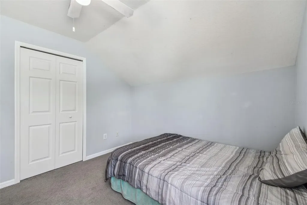 24231 Satinwood Court Lutz FL 33559