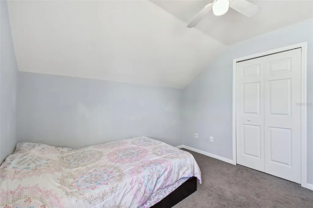 24231 Satinwood Court Lutz FL 33559