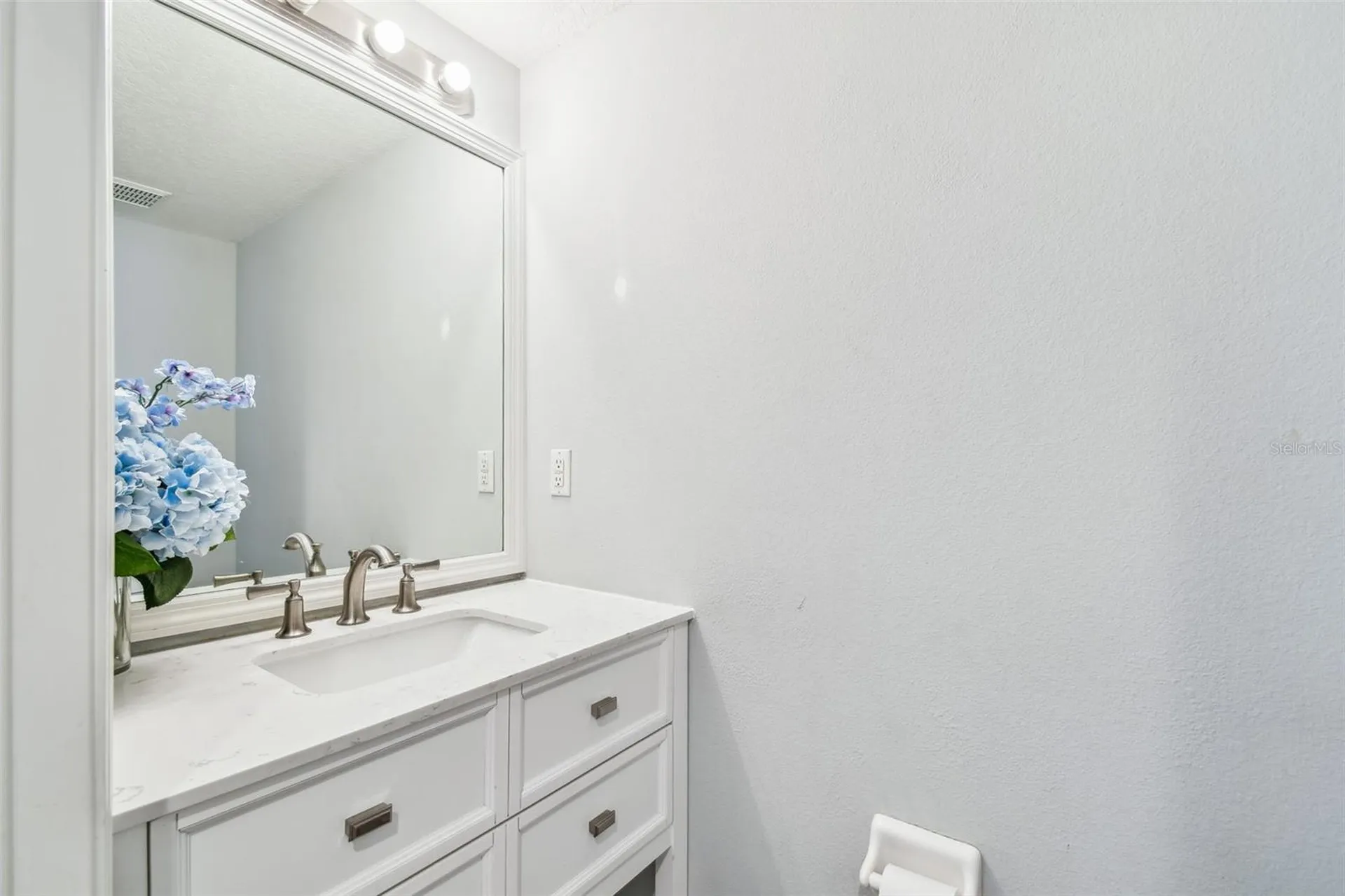 24231 Satinwood Court Lutz FL 33559
