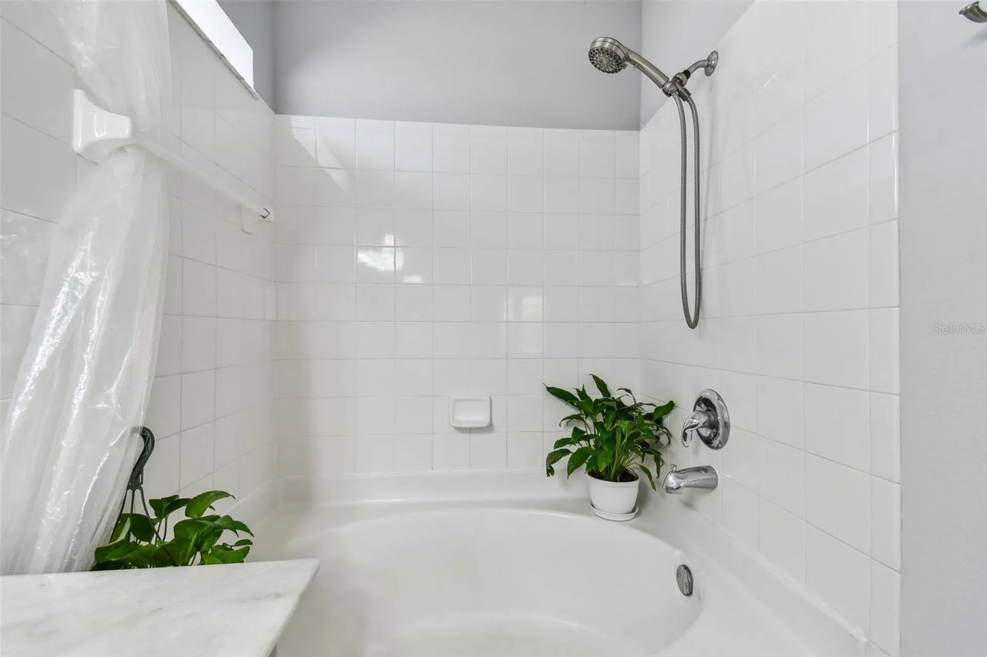 24231 Satinwood Court Lutz FL 33559