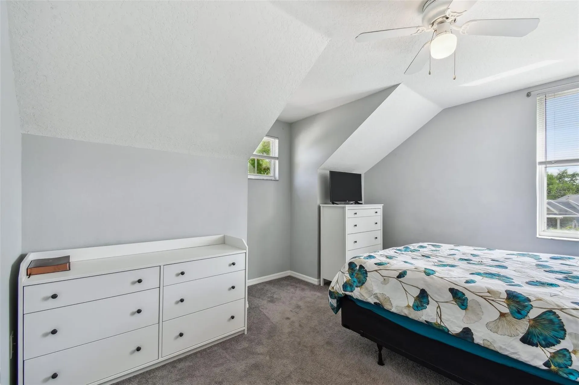 24231 Satinwood Court Lutz FL 33559