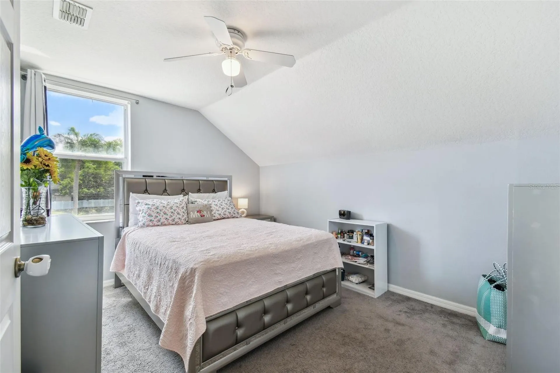 24231 Satinwood Court Lutz FL 33559