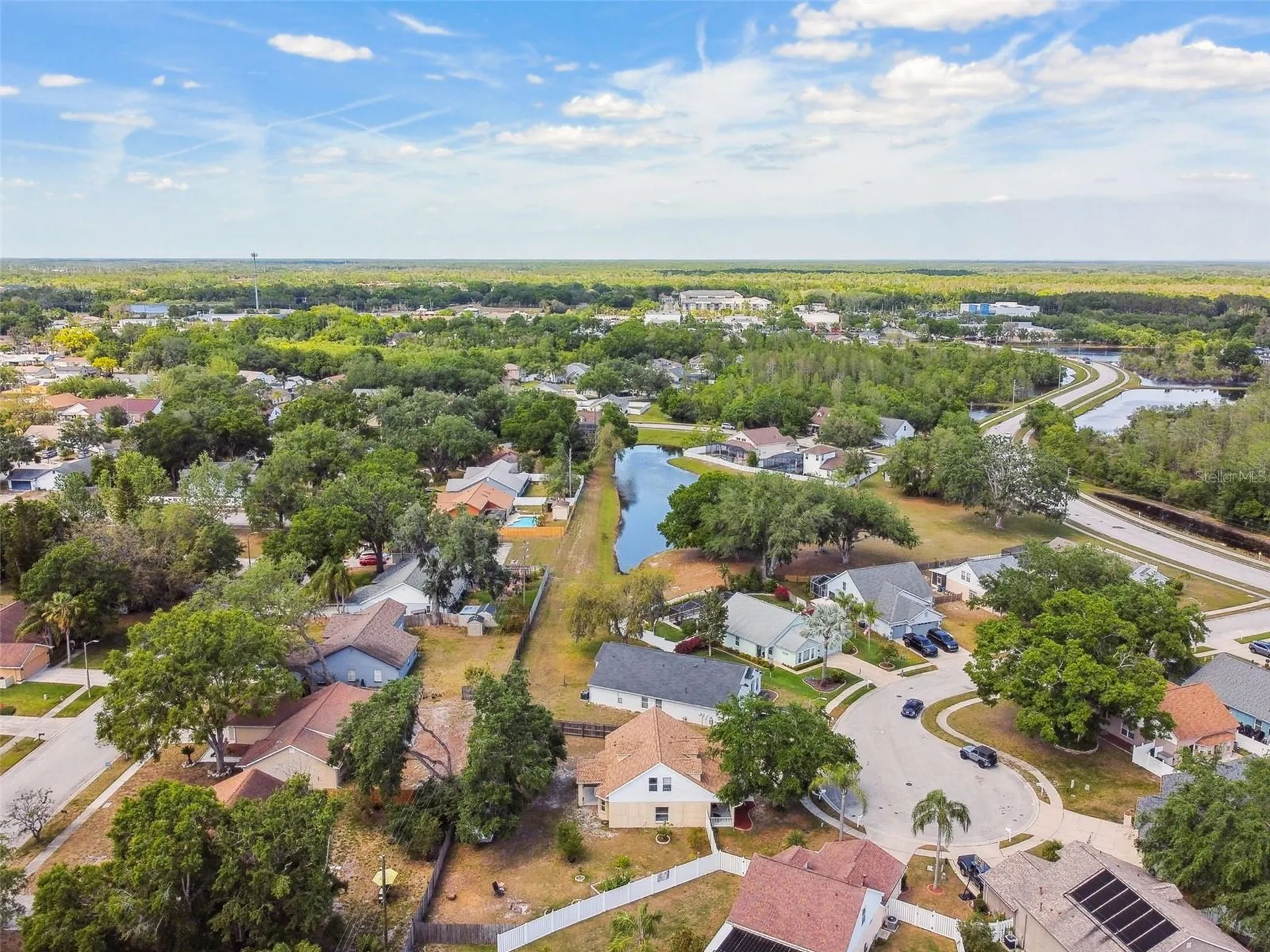 24231 Satinwood Court Lutz FL 33559