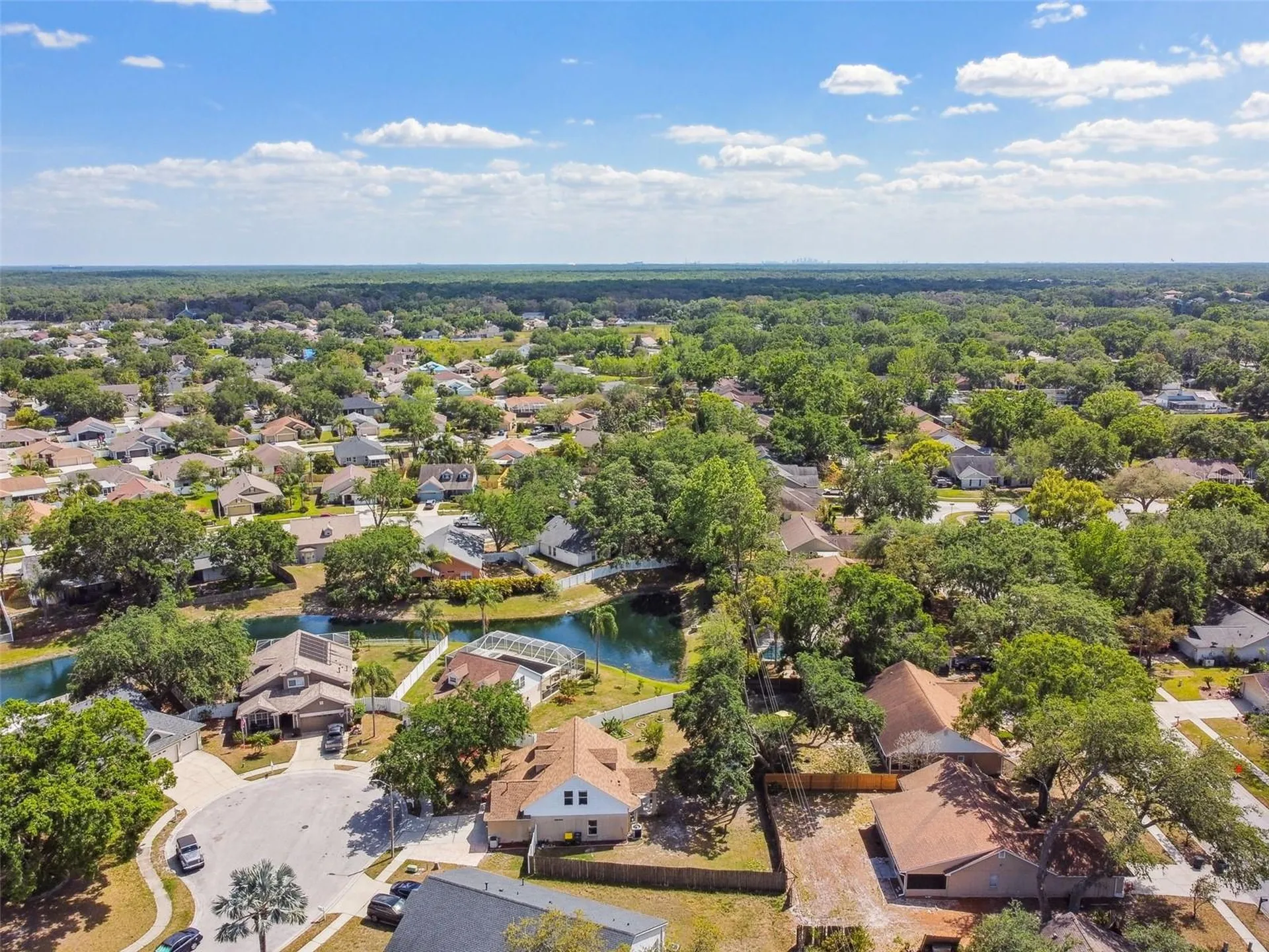 24231 Satinwood Court Lutz FL 33559