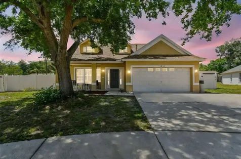 24231 Satinwood Court Lutz FL 33559