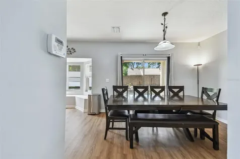 24231 Satinwood Court Lutz FL 33559