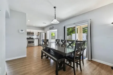 24231 Satinwood Court Lutz FL 33559