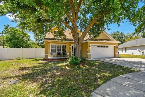 24231 Satinwood Court Lutz FL 33559
