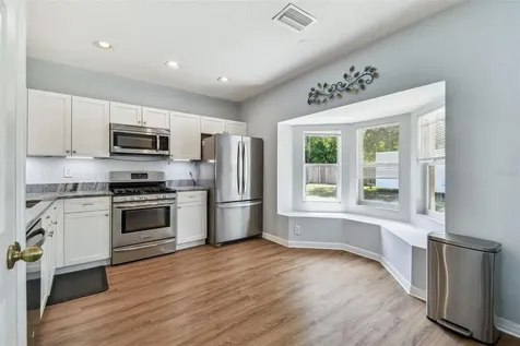 24231 Satinwood Court Lutz FL 33559