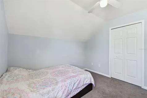 24231 Satinwood Court Lutz FL 33559
