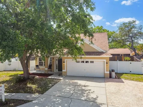 24231 Satinwood Court Lutz FL 33559