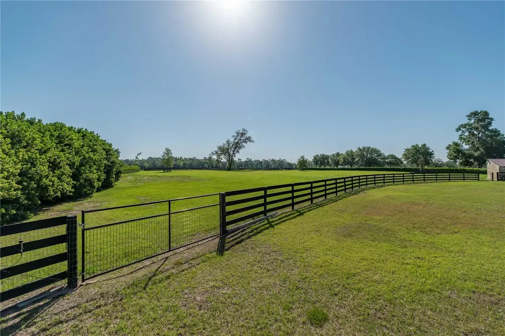 5363 NW 153rd Court Morriston FL 32668