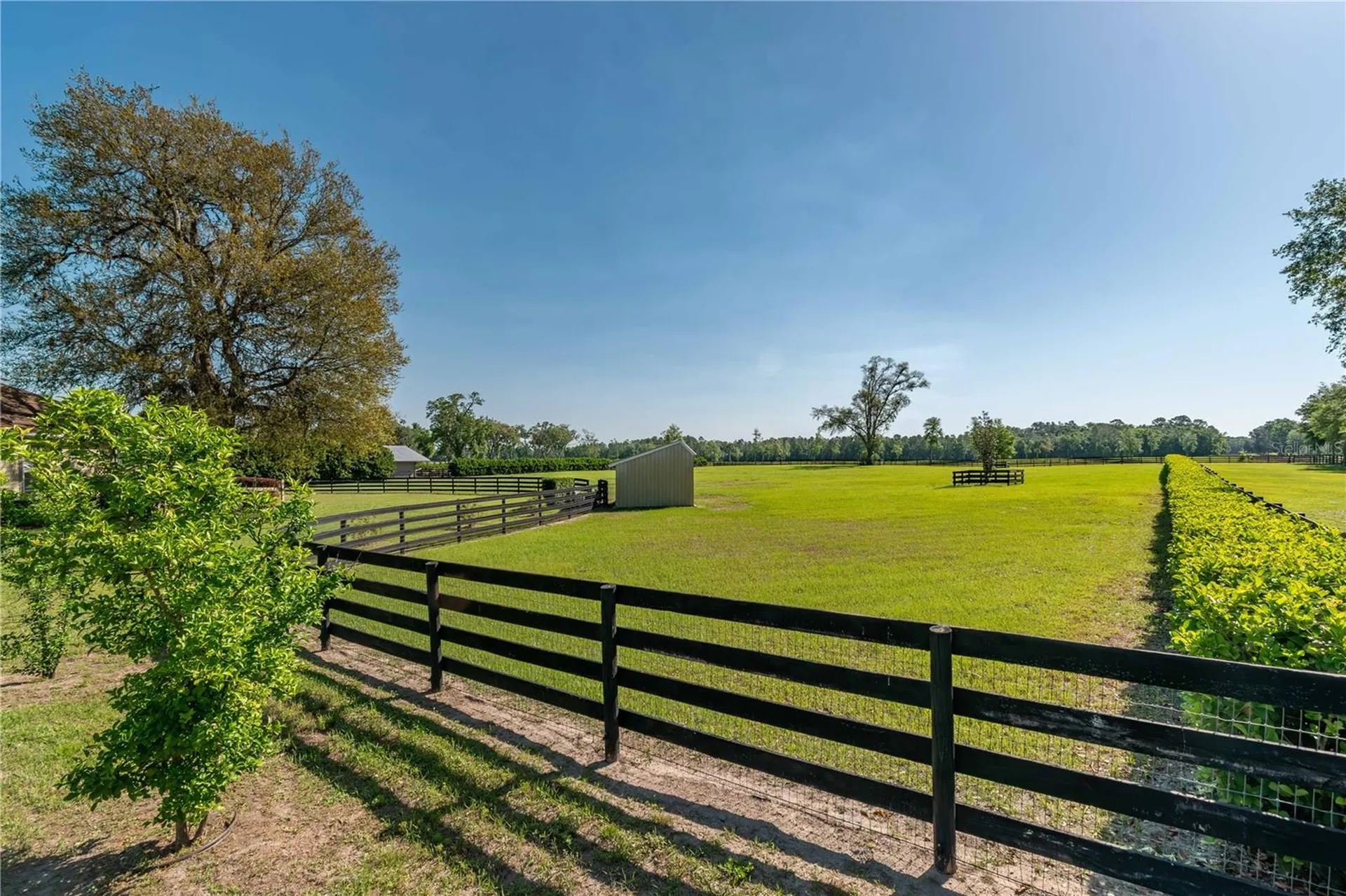 5363 NW 153rd Court Morriston FL 32668