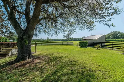 5363 NW 153rd Court Morriston FL 32668