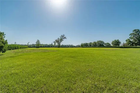 5363 NW 153rd Court Morriston FL 32668