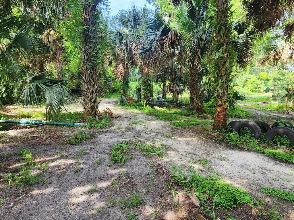 Sanford Avenue Sanford FL 32773