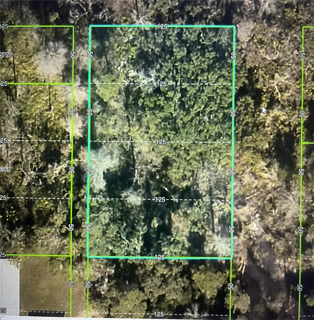 Las Palmas Avenue Spring Hill FL 34606