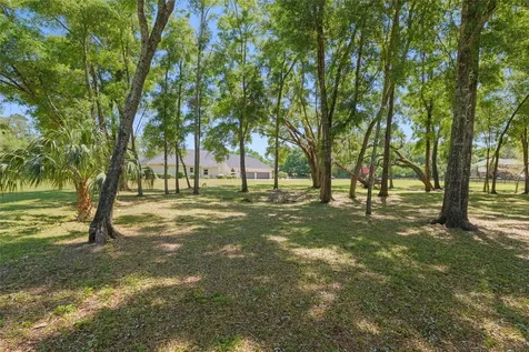 14742 NW 11th Place Newberry FL 32669