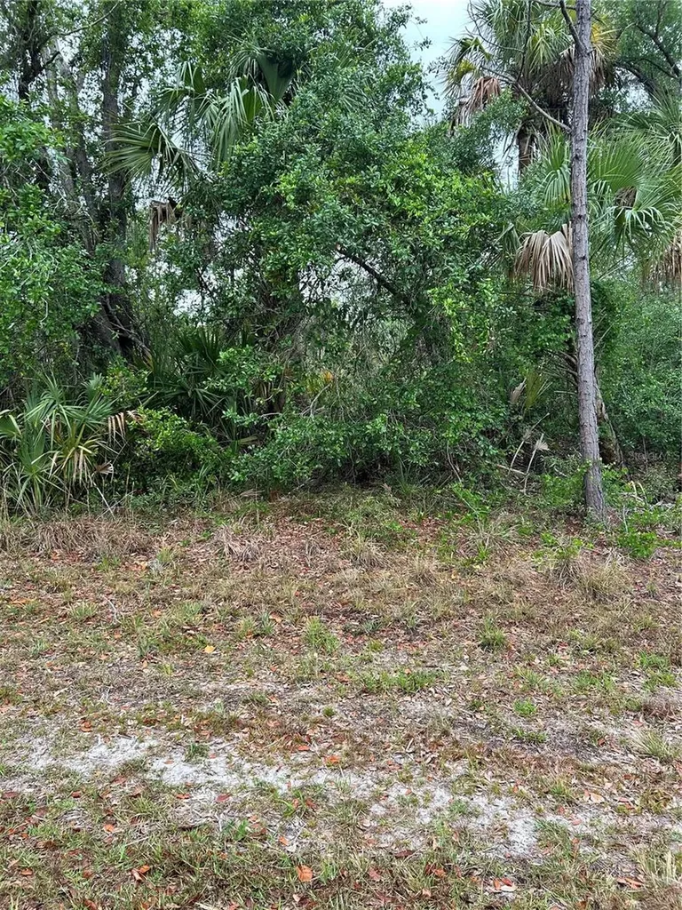 361 & 369 Juper Street Port Charlotte FL 33953