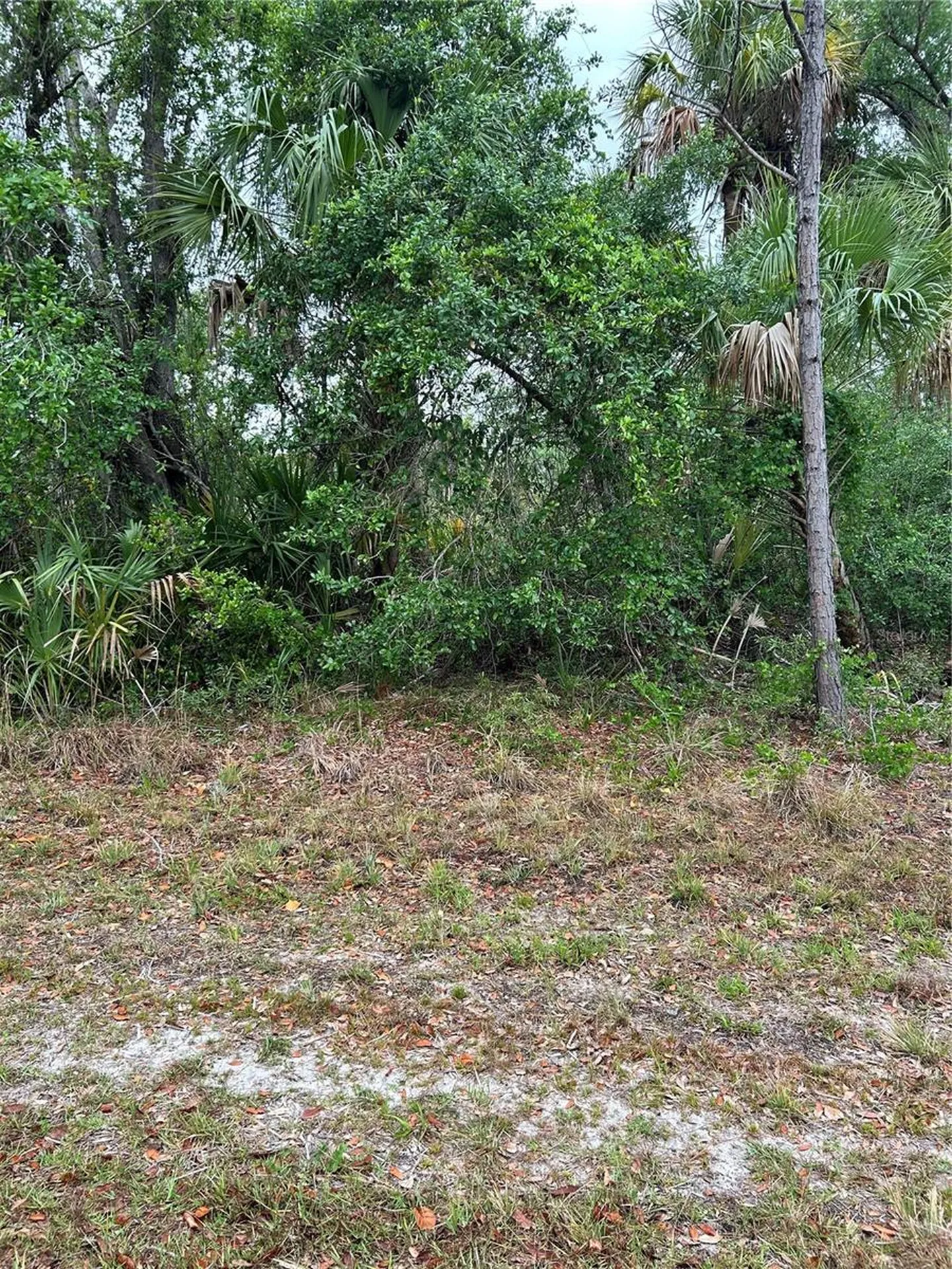 361 & 369 Juper Street Port Charlotte FL 33953